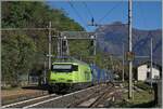 Am Schluss des langen Güter-Zuges auf der Fahrt in Richtung Brig hilft die BLS Re 465 als Schiebelok.