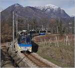 Ein SSIF Treno Panoramico von Domodossola nach Locarno kurz vor Trontano.
1. März 2017