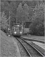 Der SSIF ABe 8/8 21  ROMA  (UIC 94 83 4880 021-0 I-SSIF) erreicht als PE72 69 bzw.  Diretto Domodossola - Locarno  den Bahnhof von Verigo, wo ich aus dem nach Domo fahrenden ABe 6/6 33 dank den zu öffnenden Fenster dieses (und noch weitere) Bilder machen konnte.

31. Oktober 2024