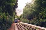 Tram Triest-Opicina__Tw 405 auf Talfahrt auf dem Seilbahn-Abschnitt.__08-06-2008