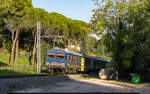 FCU ALn 776 016 / Perugia, 12. November 2024<br>
Regionale Città di Castello - Perugia Sant'Anna