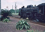 C61: Vor der Kulisse der C61 19 spriessen auf dem Bahnsteig eigenartige Gewächse. Sadowara, 14.August 1972.  



