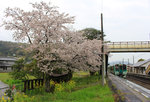 An der Strecke von Tokushima ins Innere der Insel Shikoku.