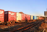 Am Bahnübergang eines kleinen Landwegs in Mareppu (Insel Hokkaidô): Container-Tragwagen KOKI (コキ) 104-2507.