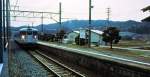 Serie 115 des zentraljapanischen Hochlands: Station Sakakita am Abstieg vom Hochplateau von Matsumoto ins Becken von Nagano; auffällig die hübsch gepflegten Bäumchen am Bahnsteig. Einfahrt eines Zuges mit Steuerwagen KUHA 115-1231, 5.April 1999. 