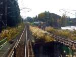 Serie 701 des Bezirks Akita - durchs Gebirge von Akita (im äussersten Nordwesten) nach Aomori (die nördlichste Stadt der japanischen Hauptinsel): In der Herbststimmung leuchtet das