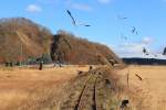 Begegnung mit Tieren auf der Hanasaki-Linie: in Triebwagen KIHA 54 523 bei Itoizawa, 26.Oktober 2015. 