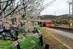 Dieselzüge von JR-Westjapan an der Küste des Japanischen Meeres: Im Frühling Triebwagen KIHA 47 2018 in Hôgi in der Präfektur Tottori. 6.April 2015.