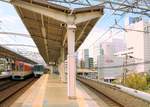 Hanshin-Konzern: Expresszüge sind rot oder orange (im Bild Zug 8229), Lokalzüge sind dunkel- oder hellblau (im Bild Zug 5505).