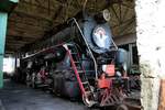 In recht gutem Zustand ist im Außenlager Jelgava des Eisenbahnmuseums Riga die L-5225 der LDZ hinterstellt. 13.05.2017