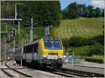 Die 3016 mit dem IR Liers-Luxembourg am Haken erreicht den Bahnhof von Troisvierges am 23.06.08, whrend im Hintergrund das Heu fein suberlich gewendet zum Trocknen in der Sonne liegt. (Jeanny)