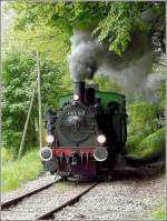 Bei der Museumsbahn  Train 1900  dampft es wieder. Anna hat die Steigung zwischen Ptange und Fuussbsch fast geschafft und fhrt ihrem Ziel Fond de Gras entgegen. 03.05.09 (Jeanny)
