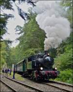 - Rauchfahne im Wald - Die Dampflok KDL 7  Energie 507  der Museumsbahn  Train 1900  hat die Kreuzungsstelle Fuussbsch erreicht und wird in Krze ihre Reise nach Fond de Gras fortsetzen.