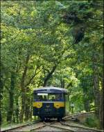 - Uerdinger im Wald - Der Uerdinger Schienenbus 551 669 der Museumsbahn  Train 1900  erreicht am 23.09.2012 die Kreuzungsstelle Fuussbsch.