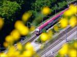 Steuerwagen 002 verlsst den Bahnhof von Kautenbach in Richtung Luxemburg, whrend sich die Ginsterblten wie gelbe Tupfer auf diesem Bild prsentieren. 12.05.08