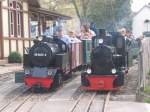 Steiner Liliputbahn: Lok 99 6001-4 und Mecklenburg im Bahnhof an Ostern 2004.