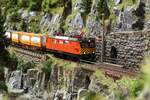 Auf der Südrampe des Olfapass rollt am 7.8.2024 der KLV41885 von Köln Eifeltor kommend in Richtung Torre San Giacomo kurz vor Hochgries talwärts.