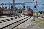 IC430 mit 461-023 von Bar fährt in Podgorica ein.