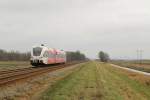 Spurt (Arriva) mit Regionalzug ARR 20136 Leer-Groningen bei Waterhuizen am 3-1-2013.

