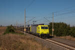 186 113-4 mit einem Ganzzug BLG-Autotransportwagen in Richtung Osten auf der KBS 310 an der Stadtgrenze zwischen Magdeburg und Niederndodeleben. Fotografiert am 21.09.2024. Wahrscheinlich ging es nach Falkenberg, denn am Nachmittag konnte die gleiche Lok schon wieder auf dem Weg in Richtung Westen fotografiert werden.  