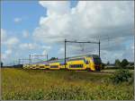 Zwischen Hoeven und Etten-Leur braust ein Triebzug in Richtung Roosendaal durch die flache Landschaft Nordbrabants. 05.09.09 (Jeanny)