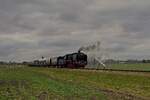 50 307 der VSM fährt zum Beginn des Jubiläumsjahres  Railway 200  - 200 Jahre moderne Eisenbahn - zum gemeinsamen Ereignis  Whistle-Up  von Beekbergen nach Dieren (01.01.2025) 