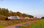 186 502 mit dem 43304 (Oldenzaal Grens -Waalhaven Zuid) bei Zenderen 14.9.23