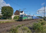 193 946 von European Locomotive Leasing ist für Rail Force One unterwegs und zog am 04.10.2024 einen Containerzug durch Hämelerwald in Richtung Lehrte.