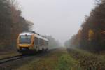 Lint nr. 27 von Syntus mit Regionalzug 31239 Zutphen-Oldenzaal bei Almen am 19-11-2012.