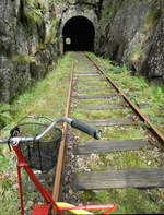 Und wieder steht eine Tunneldurchfahrt bevor. Flekkefjord, 9.9.2024