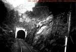 NSB - Die Strecke irgendwo zwischen Myrdal und Flam, wir sind in August 1961, die Masten fr die Oberleitung sind auf Holz. (Foto: J.J. Barbieux) 