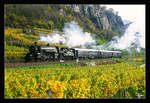 Die wunderbare Gölsdorf Dampflok 310.23, zieht den Sonderzug 17264 von Wien Heiligenstadt nach Spitz an der Donau in der Wachau.