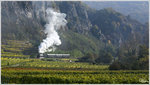 Die Strasshofer Dampflok 310.23 fährt mit dem SDZ 17264 von Wien Heiligenstadt nach Krems an der Donau. 
Weißenkirchen in der Wachau. 28.10.2016