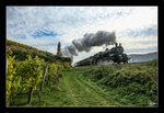 Die Strasshofer Dampflok 310.23 fährt mit dem SDZ 17264 von Wien Heiligenstadt nach Krems an der Donau. 
Franzosendenkmal Dürnstein. 28.10.2016