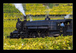 Die Strasshofer Dampflok 310.23 fährt mit dem SDZ 17264 von Wien Heiligenstadt nach Krems an der Donau. 
Weißenkirchen in der Wachau. 28.10.2016