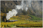 310.23 mit dem Sonderzug 17264 von Wien nach Spitz am 28.10.2016 kurz vor Weißenkirchen in der Wachau aufgenommen.