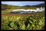 Golden Autumn - eine grandiose Herbststimmung bot sich uns am 28.10.2016 in der Wachau.