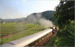 Nachschuss ins Gegenlicht: Zur Sonnwendfeier nach Spitz fhrt die 33 132 durch die Weingrten zwischen Drnstein und Weienkirchen.