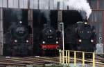 GEG 78 618 + 38 1301 + 77.28 unter Dampf im Lokschuppen Attnang-Puchheim, anlsslich der Veranstaltung   Dampfspektakel am Hausruck  , fotografiert am 13.03.2011