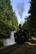 92.2271 des Martinsberger Lokalbahnverein bei der Walddurchfahrt  Ritschgraben  auf der Strecke Zwettl  Martinsberg aufgenommen am 08.08.2010 im Zuge einer Fotofahrt.