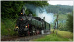 Dampflok 93.1332 fährt für eine Englische Reisegruppe durch das Görschitztal, fotografiert nahe Eberstein.