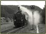 93.1332 der Nostalgiebahnen in Krnten (NbiK) beim letzten Karawankendampf 2006 von Weizelsdorf nach Faak am See, als Sdz R 16467, aufgenommen kurz nach Ledenitzen am 31.8.2006.