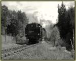 NbiK 93.1332 am 31.8.2006 beim letzten Karawankendampf der Saison 2006 bei der Einfahrt in Rosenbach (Grenzbahnhof zu Slowenien) als Sonderzug R 16467.