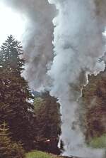 Volldampf: Alle Kraft müssen zwei unbekannte 97er der Erzbergbahn im August 1975 aufwenden, um ihren beladenen Halbzug nach Einfahrt in den Zahnstangenabschnitt an der Feistawiese zum Präblichl hinaufzubefördern