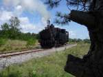 Am Dampftag im Eisenbahnmuseum Heizhaus Strasshof war die 97.208 im Einsatz. Im Vordergrund ist der Stamm einer Fhre. (30.08.09)