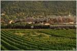 Wachau II - Sicherlich ein Hhepunkt der IGE Eisenbahn-Romantik-Rundfahrt war die Fahrt am Mittwoch durch die Wachau. Im allerschnsten Abendlicht ziehen die Dampfloks 310.23 und 109.13 den SE 17201 von Drnstein-Oberloiben nach Strasshof. Unterloiben 22.8.2012

