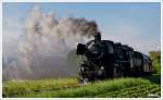 52.100 auf der Fahrt von Wien Praterstern nach Ernstbrunn, zum 7. Oldtimertreffen auf Strasse und Schiene.
Karnabrunn Schottseitn 4.5.2014