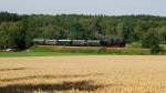 638.1301 der ÖGEG mit Ammersee-Dampfzug (DPE 79756) bei Geltendorf (15.08.2013)