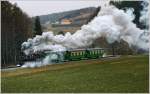 Auf der Feistritztalbahn fhrt die Schmalspurdampflok U8 mit einem Sdz, fr die “The Railway Touring Company” aus England von Weiz nach Birkfeld.