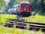 2016 076-9  pirscht mit einem Güterzug über die Gleisanlagen des Bhf. Ried; 240807